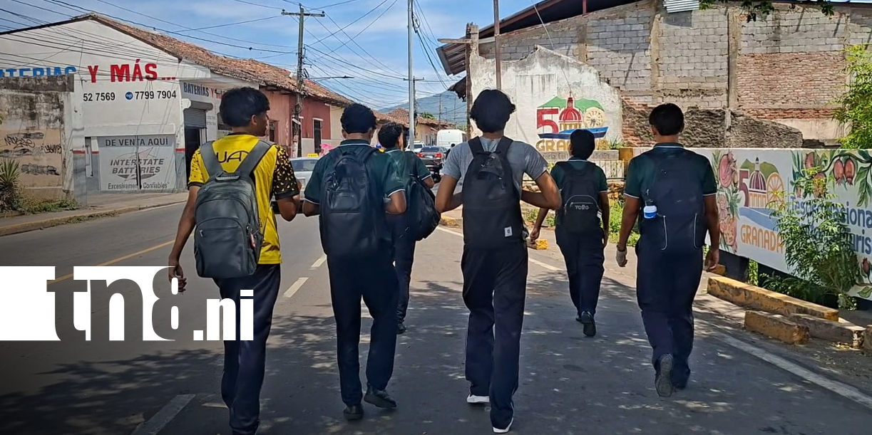 Foto: Violencia en menores: cómo prevenir conductas agresivas/TN8