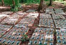 Ejército de Nicaragua incauta 475 paquetes de cocaína en Río San Juan Foto: Ejército de Nicaragua incauta 475 paquetes de cocaína en Río San Juan / Cortesía