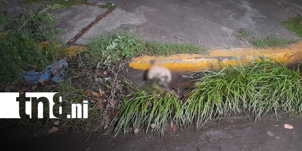 Foto: Cráneo hallado en Linda Vista, Managua, moviliza a la Policía/TN8