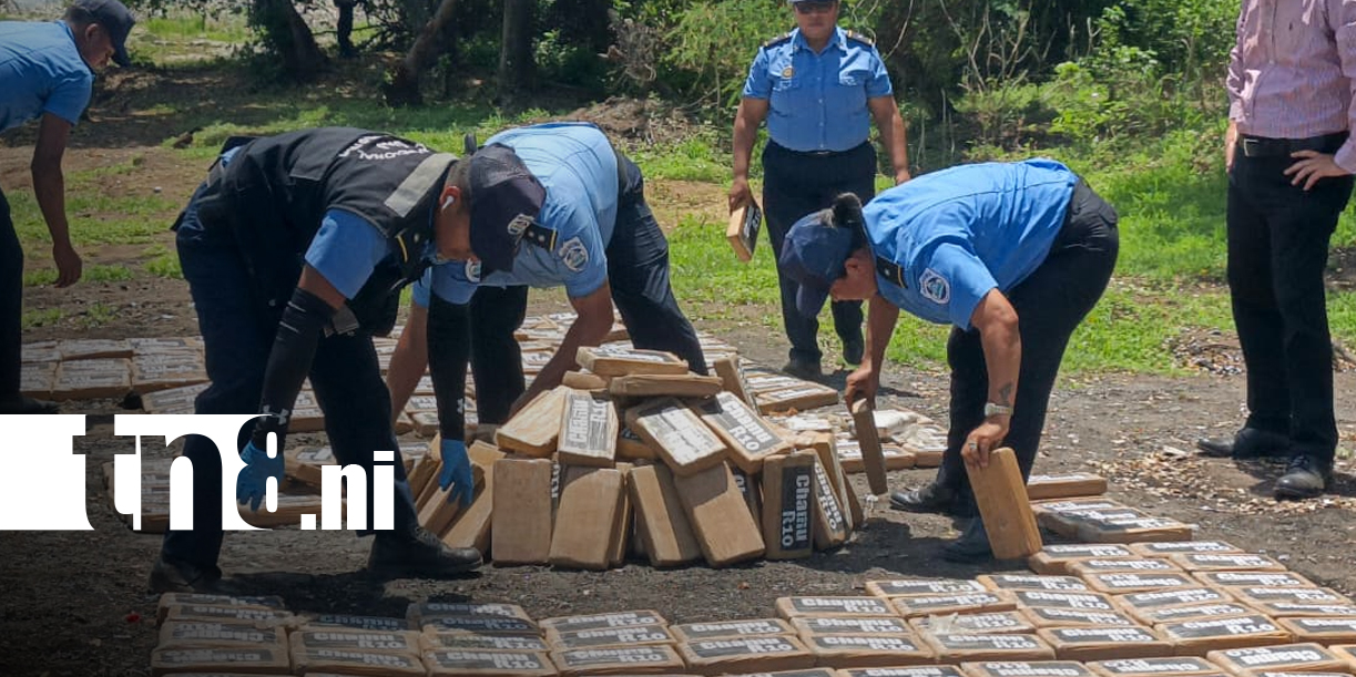 Foto: Ejército de Nicaragua incinera 552 kilos de cocaína/TN8