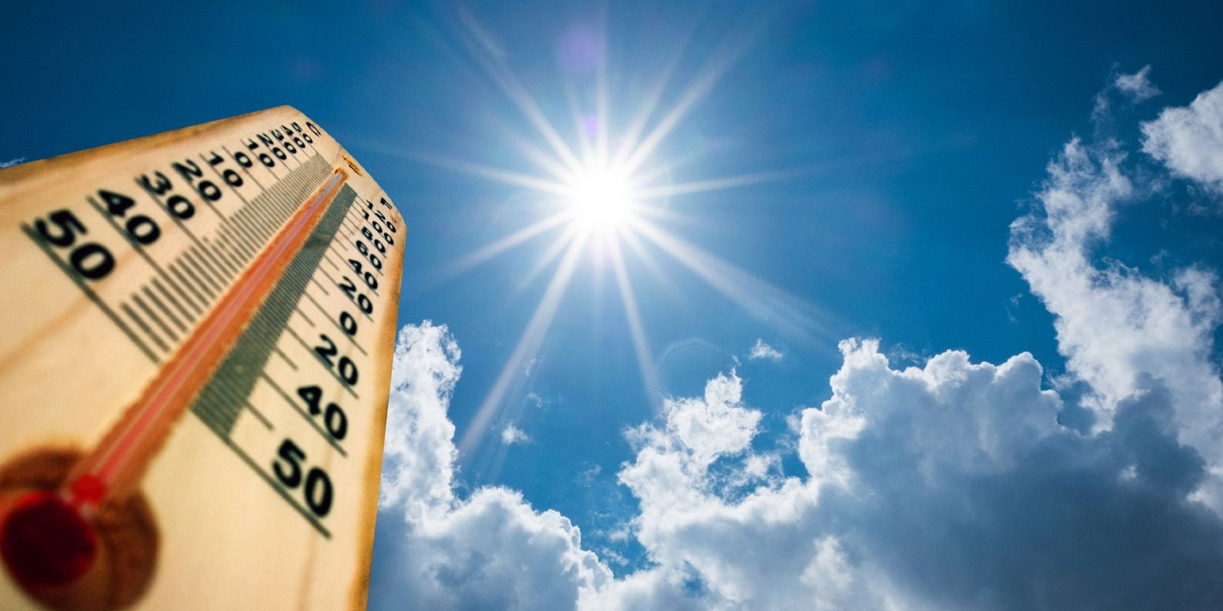 Foto: Varios muertos por ola de calor en Francia /Cortesía