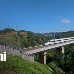 Foto:Periodistas de América Latina viven la experiencia del tren bala en China/Tn8