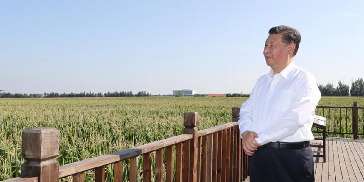 Foto: China acelera la transformación agrícola/Cortesía