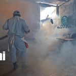 ¡Alerta sanitaria! MINSA intensifica lucha contra zancudos en Managua Foto: MINSA refuerza lucha contra dengue en Managua/TN8