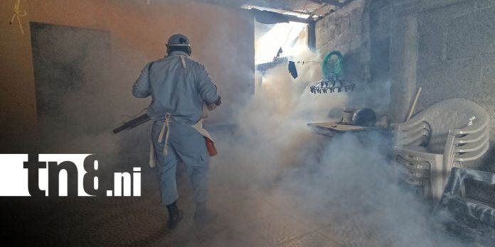 Foto: MINSA refuerza lucha contra dengue en Managua/TN8