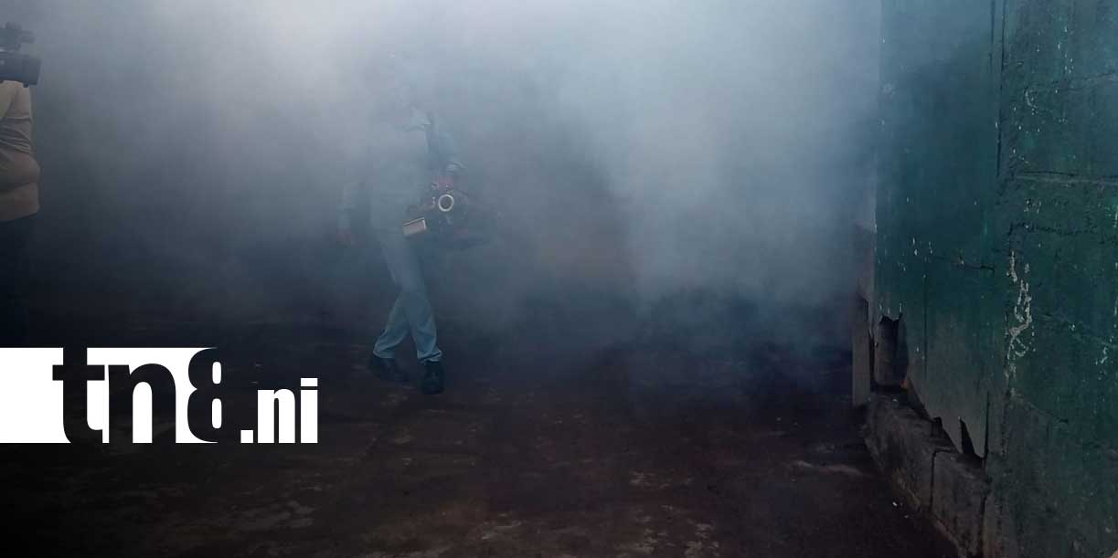 Foto:Brigadas del MINSA realizan fumigación en más de 1,000 viviendas en Managua/TN8