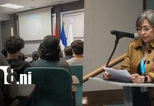 Foto: Universidad Americana lanza diplomado en gestión del riesgo/TN8
