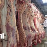 Foto: Matadero San Martín proyecta mayor producción y expansión comercial /TN8