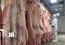 Foto: Matadero San Martín proyecta mayor producción y expansión comercial /TN8