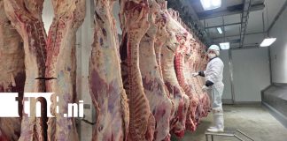 Foto: Matadero San Martín proyecta mayor producción y expansión comercial /TN8