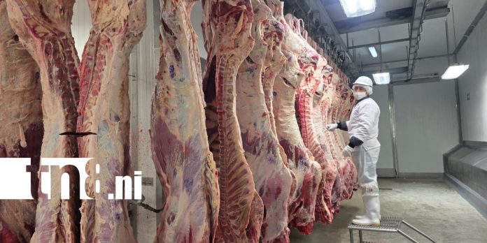 Foto: Matadero San Martín proyecta mayor producción y expansión comercial /TN8