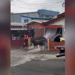 Foto: Lluvias intensas provocan caos en Liberia, Costa Rica/Cortesía