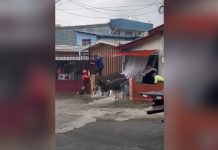 Foto: Lluvias intensas provocan caos en Liberia, Costa Rica/TN8