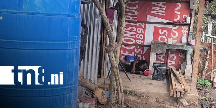 Foto: Investigan muerte de trabajador en plantel en Estelí/TN8 Foto: Investigan muerte de trabajador en plantel en Estelí/TN8
