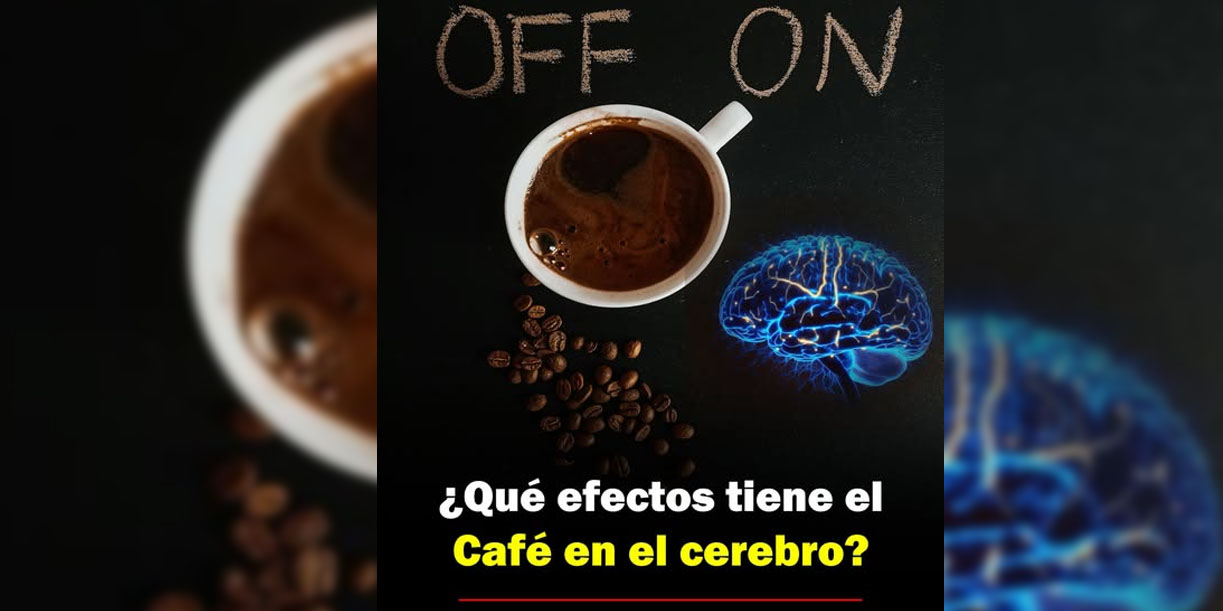 Foto: ¿Café por la mañana, insomnio por la noche?/Cortesía