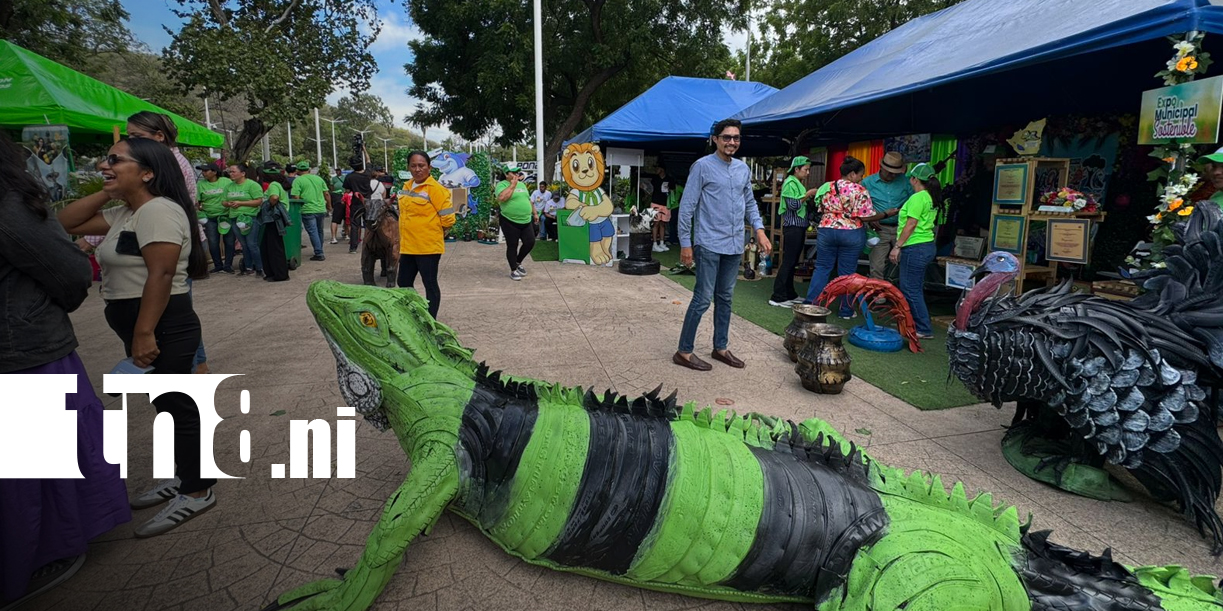 Foto: Festival Verde y Creativo Nicaragua, promueve la cultura ambiental y la sostenibilidad/TN8