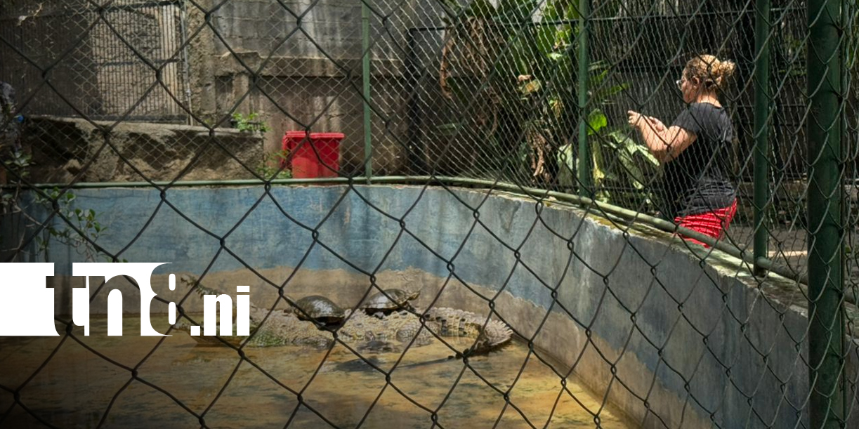 Foto: Zoológico Nacional impulsa recreación familiar/TN8