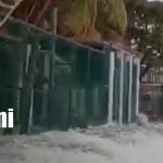 Fenómeno inusual del mar en las costas de Carazo mantiene en alerta a autoridades y pobladores Foto: El mar sorprendió a pobladores de Carazo/TN8