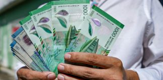 Foto: Pago salarial garantizado para servidores públicos en Nicaragua/Cortesía