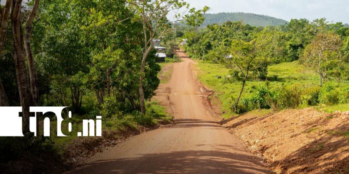 Foto: Nuevos caminos en Tasba Pri impulsan la producción en el Caribe Norte/TN8