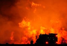 Foto: Incendios arrasan Utah /Cortesía