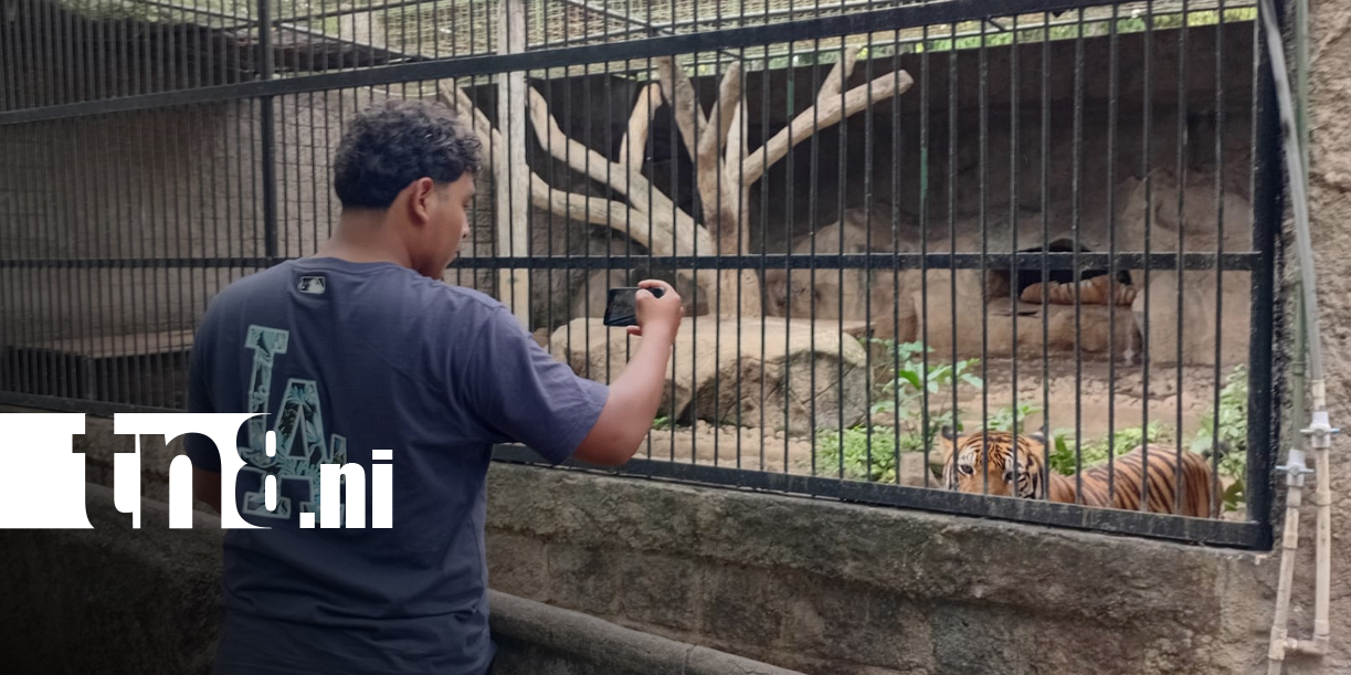 Foto: Zoológico: visita el parque nacional en Nicaragua/TN8