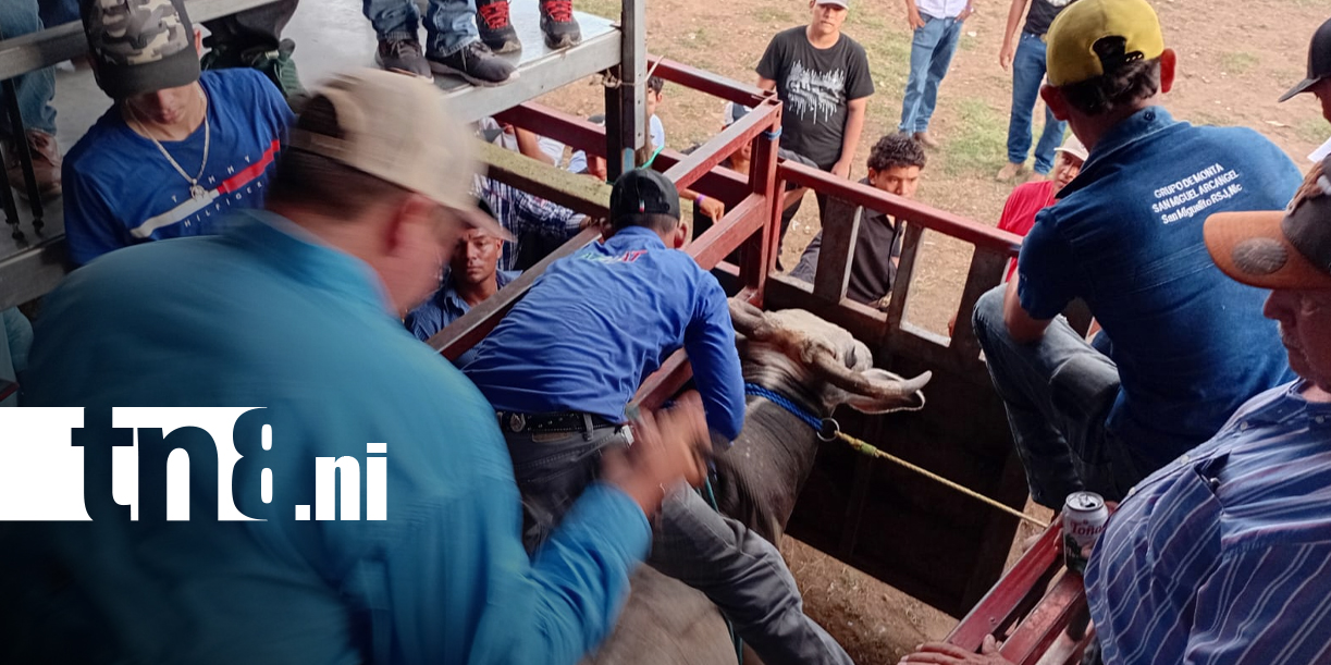 Foto: ¡Se rompen los fuegos! Tiscapa se enciende con el inicio de las montaderas de toros/TN8