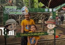 Familias nicaragüenses disfrutan un fin de semana en el Zoológico Nacional Foto: Zoológico Nacional impulsa recreación familiar/TN8
