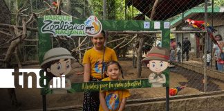 Foto: Zoológico Nacional impulsa recreación familiar/TN8