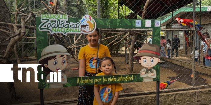 4 Foto: Zoológico Nacional impulsa recreación familiar/TN8