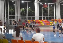 Foto: Voleibol: Las Leonas y Las Panteras disputan semifinal/TN8