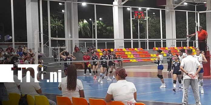 Foto: Voleibol: Las Leonas y Las Panteras disputan semifinal/TN8