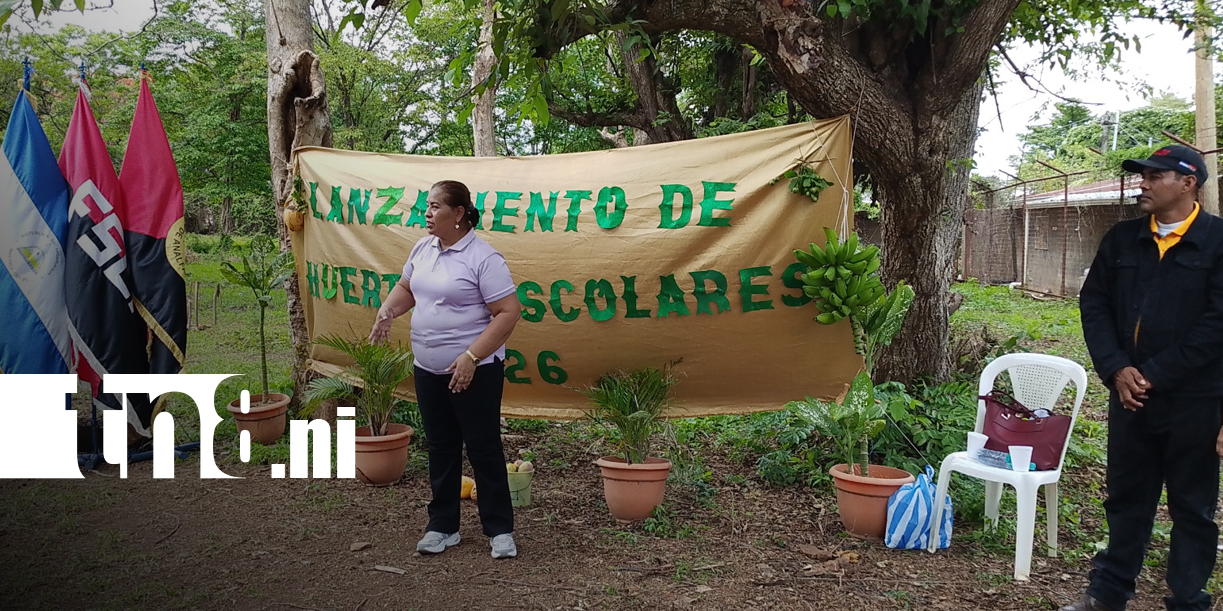 Foto: Huertos escolares 2026 fortalecen educación en Nandaime/TN8