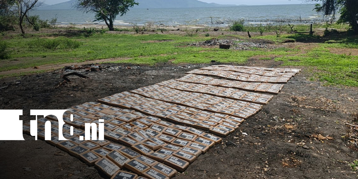 Foto: Ejército de Nicaragua incinera 552 kilos de cocaína/TN8