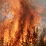 Foto: El fuego pone en jaque a Murcia, España /Cortesía