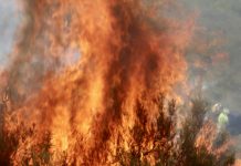 Emergencia en Murcia, España: Infernales llamas arrasan 177 hectáreas (VIDEOS) Foto: El fuego pone en jaque a Murcia, España /Cortesía