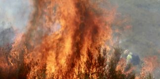 Foto: El fuego pone en jaque a Murcia, España /Cortesía