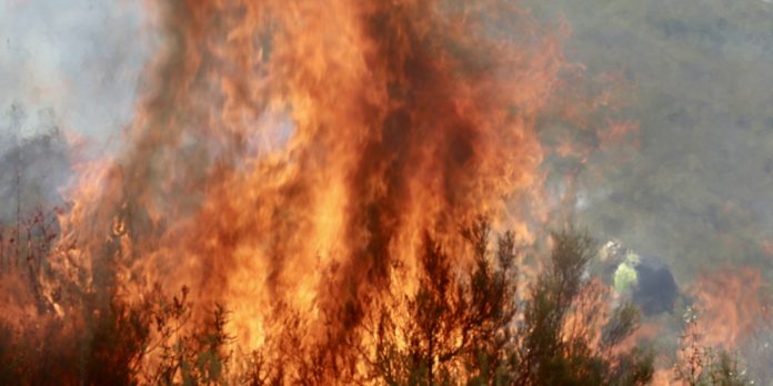 Foto: El fuego pone en jaque a Murcia, España /Cortesía