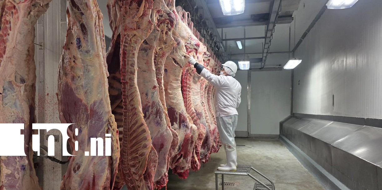 Foto: Matadero San Martín proyecta mayor producción y expansión comercial /TN8