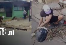 ¡Lo grabaron! Hombre es sancionado por usar un tragante como basurero en Managua Foto:Multado por arrojar basura en Managua/TN8