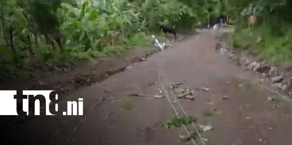Foto:Fuertes vientos causan daños eléctricos y bloquean vías en Ometepe/TN8
