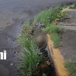 Foto: Cráneo hallado en Linda Vista, Managua, moviliza a la Policía/TN8