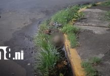 Misterioso hallazgo en Managua: encuentran aparente cráneo a orillas de una cuneta en Linda Vista Foto: Cráneo hallado en Linda Vista, Managua, moviliza a la Policía/TN8