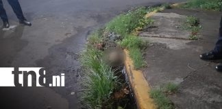 Foto: Cráneo hallado en Linda Vista, Managua, moviliza a la Policía/TN8