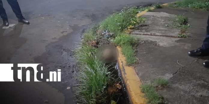 Foto: Cráneo hallado en Linda Vista, Managua, moviliza a la Policía/TN8