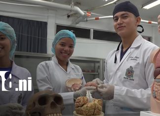 Médicos y estudiantes en Nicaragua bajo nuevas regulaciones: estas son las nuevas medidas Foto: Médicos y estudiantes en Nicaragua bajo nuevas regulaciones: estas son las nuevas medidas/TN8