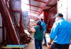 Foto: Visita de la alcaldesa de Masaya a obras de reparación en el mercado municipal / TN8