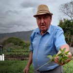 Foto: Despensa Nicaragua impulsa comercio justo con productores locales/TN8