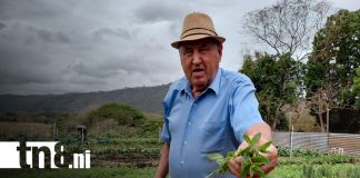 Foto: Despensa Nicaragua impulsa comercio justo con productores locales/TN8