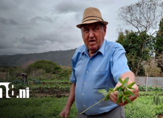 Foto: Despensa Nicaragua impulsa comercio justo con productores locales/TN8